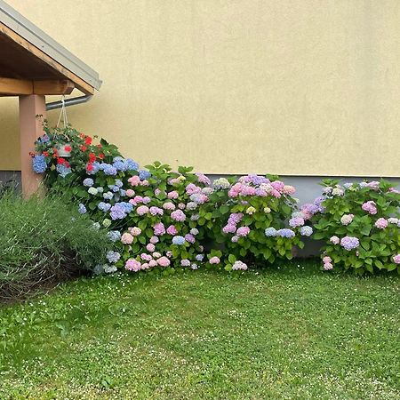 Apartments Dora Porec Luaran gambar
