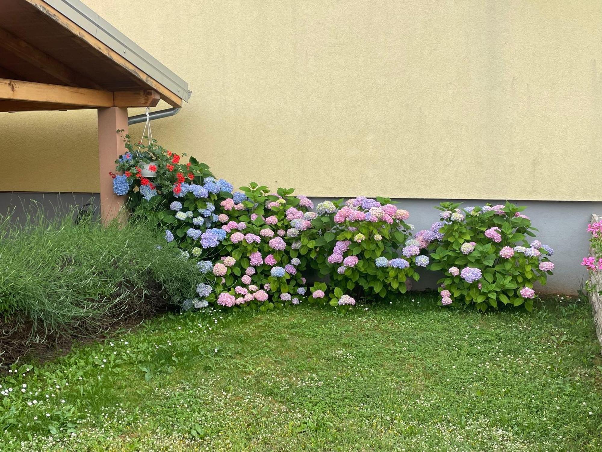 Apartments Dora Porec Luaran gambar